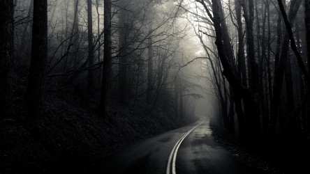 21775_forest_dark_forest_road.jpg